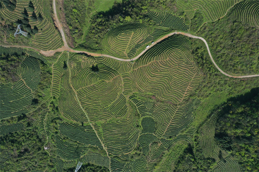 һ������ɽ�q��һ��(g��)��(g��)���ڴ���ϡ�ָ�y�����Ȟ��������^���w�z