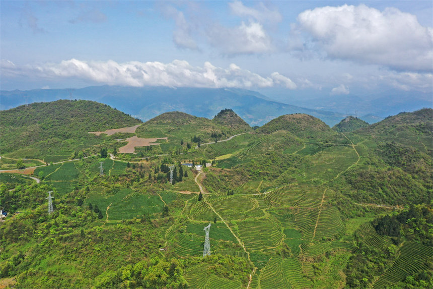 �����µ���^(q��)��@���w�z