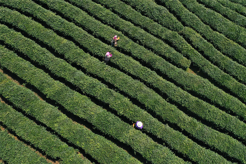 ��ˮ�ֵ���ʯ��^(q��)��@���w�z