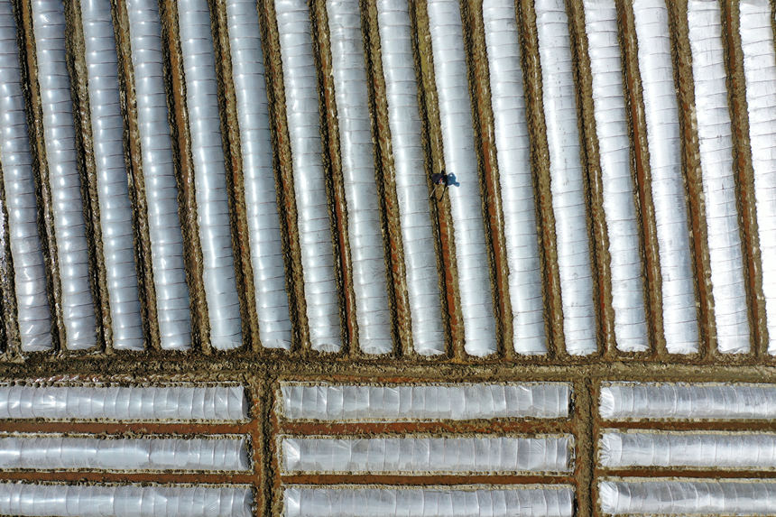 �ؑc��ǭ���^(q��)�R���(zh��n)ɼ�������ڹ��o(h��)�����紲�������z