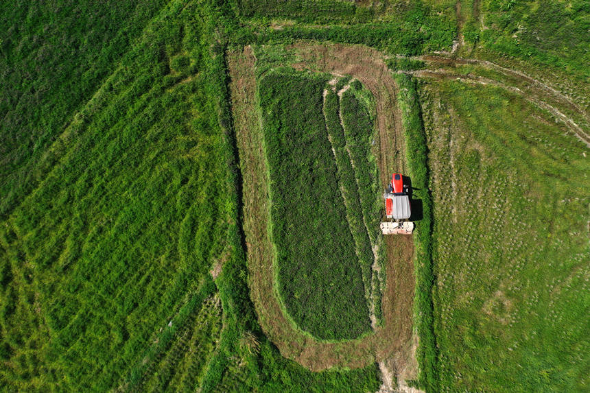 �ؑc��ǭ���^(q��)�R���(zh��n)ɼ��(sh��)��������������C(j��)�����(zh��n)������ĵ�������z