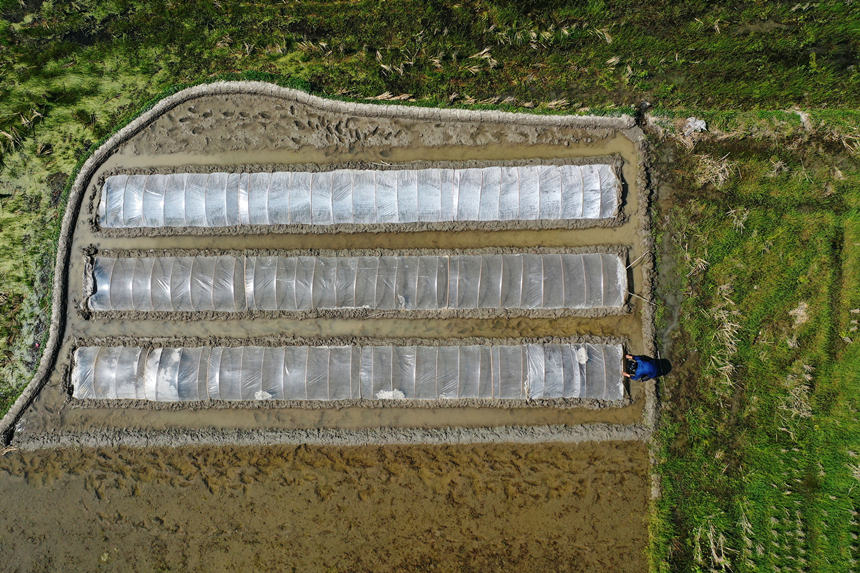 �ؑc��ǭ���^(q��)�R���(zh��n)ɼ�������ڹ��o�����紲�������z