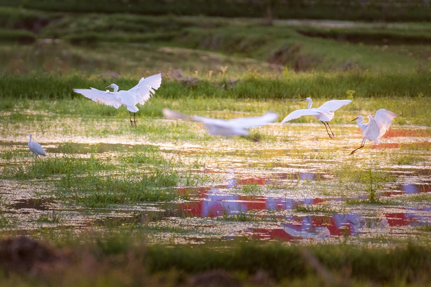 �ؑc����ƽ�^(q��)�fʯ�������^(q��)�������ڝ�����ґ����������������ȑєz