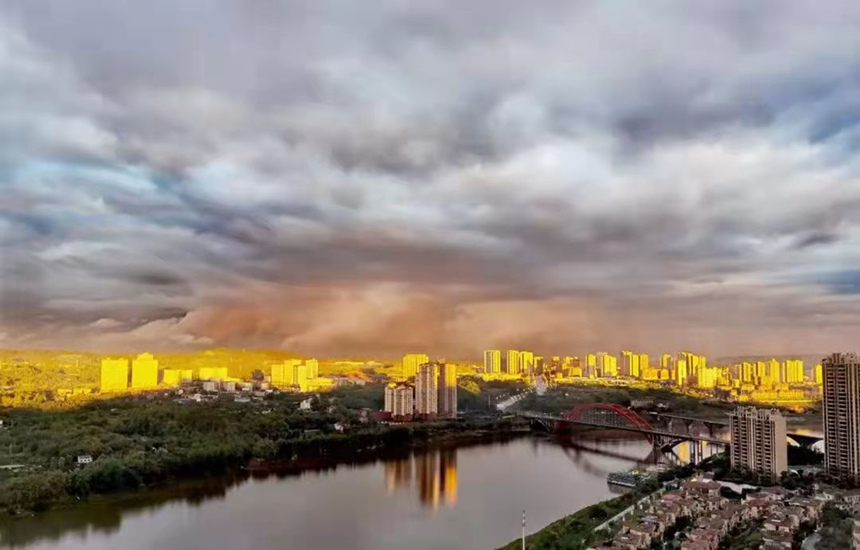 �����V�����V����ί��������M���D