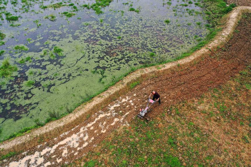 ���ؑc��ˮ�����(zh��n)���׷Nֲ������������΢���C���������������z