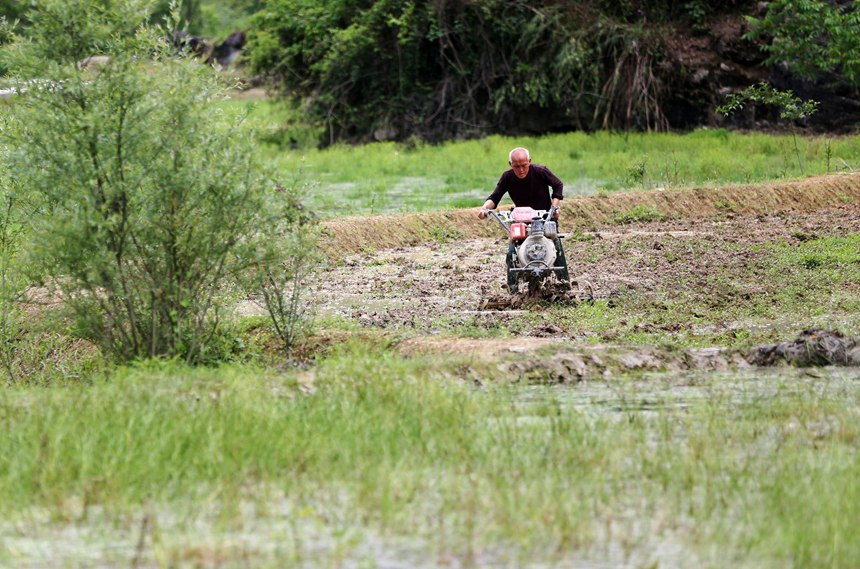 ���ؑc��ˮ�����(zh��n)���׷Nֲ���أ�������΢���C������������z