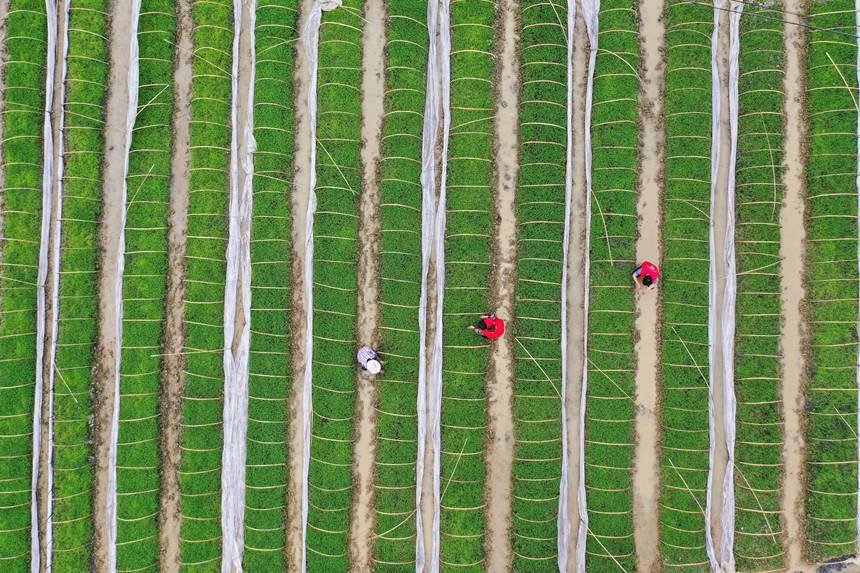 �����������(ch��ng)���o(h��)�����������z