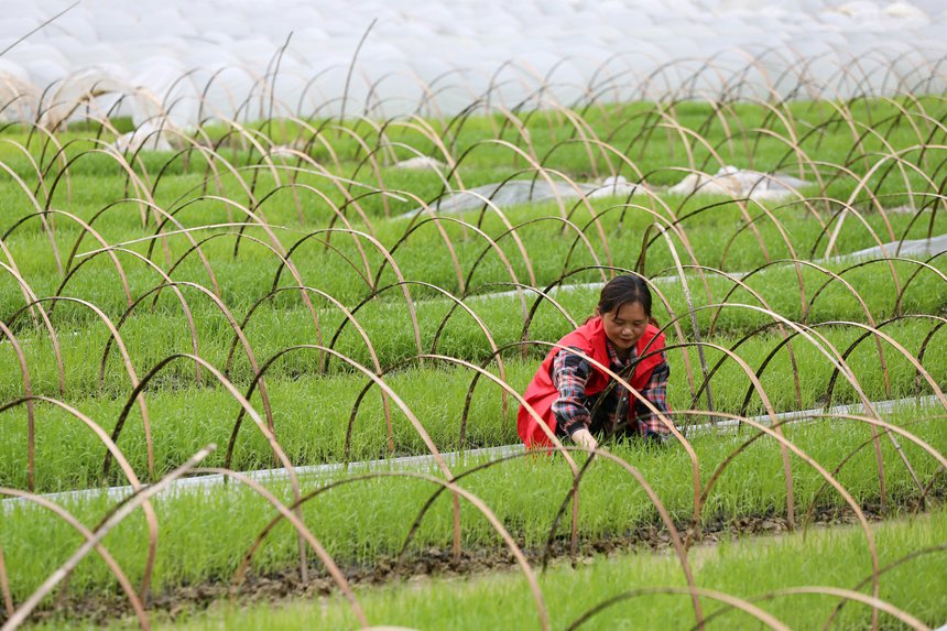 ��������������o�����������z