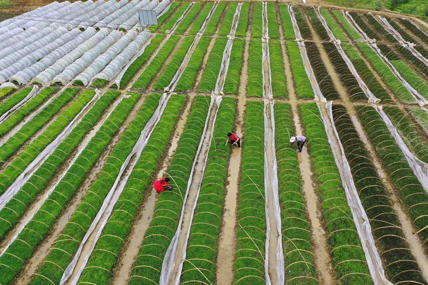 ��������������o�����������z