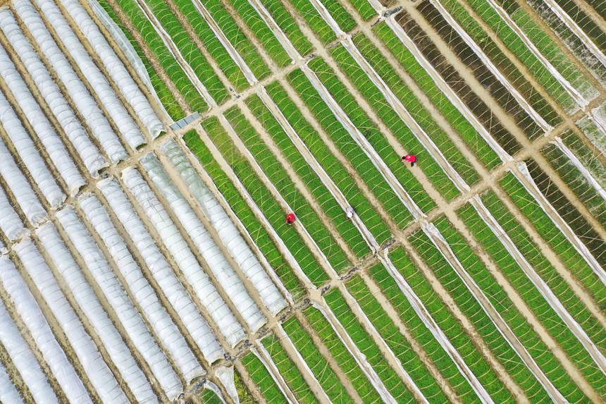 ��������������o(h��)�����������z