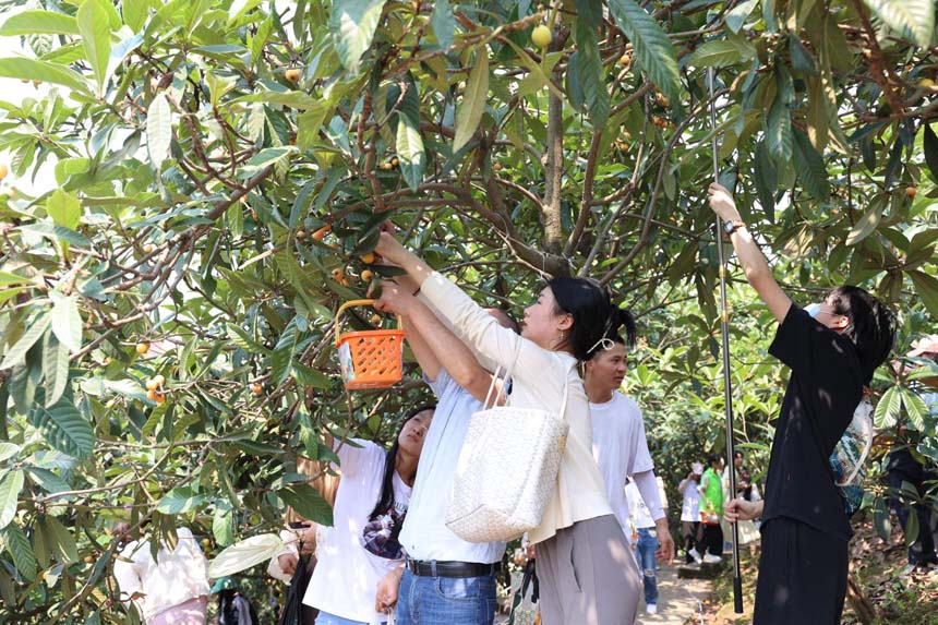 枇杷樹下各顯神通。重慶文化藝術(shù)職業(yè)學(xué)院供圖