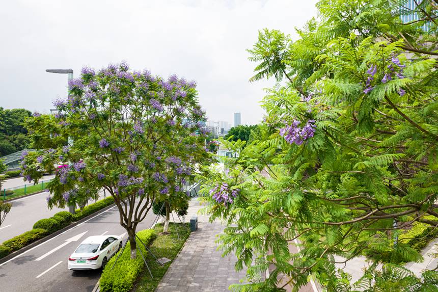 �ؑc���ϰ��^(q��)�Vꖞ��Ǆ�(chu��ng)���B(t��i)��ͨ����������{���ʢ�_����־��z