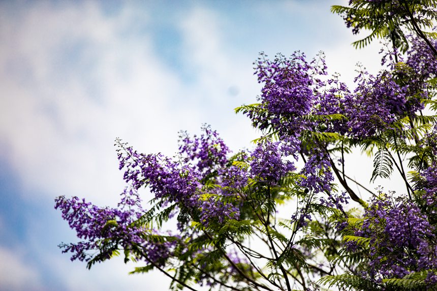 �ؑc���ϰ��^(q��)�V�(y��ng)���Ǆ�(chu��ng)���B(t��i)��ͨ����������{(l��n)���ʢ�_(k��i)����־��z