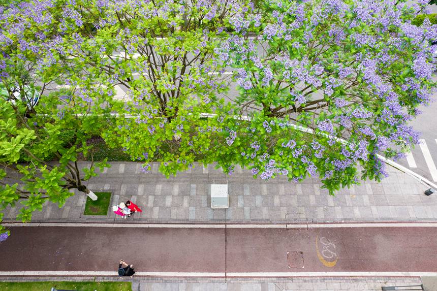 �ؑc���ϰ��^(q��)�Vꖞ��Ǆ�(chu��ng)���B(t��i)��ͨ����������{���ʢ�_����־��z