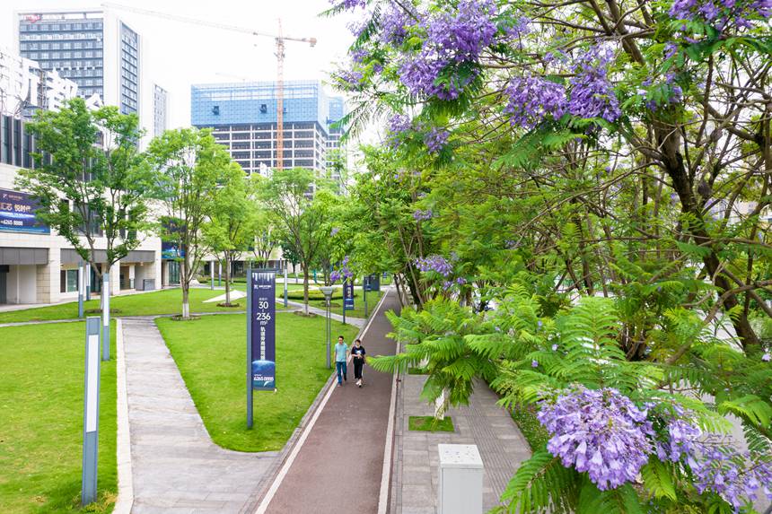 �ؑc���ϰ��^(q��)�Vꖞ��Ǆ�(chu��ng)���B(t��i)��ͨ����������{���ʢ�_����־��z