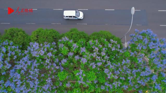 �����ؑc�{(l��n)����_