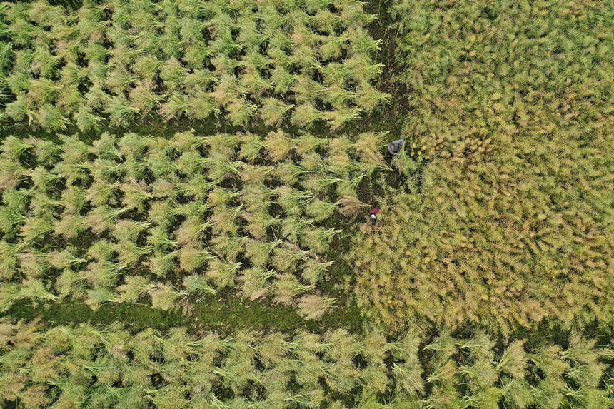 �ؑc��ǭ���^(q��)С�Ϻ��(zh��n)��·��^(q��)�������ո��Ͳ��������z