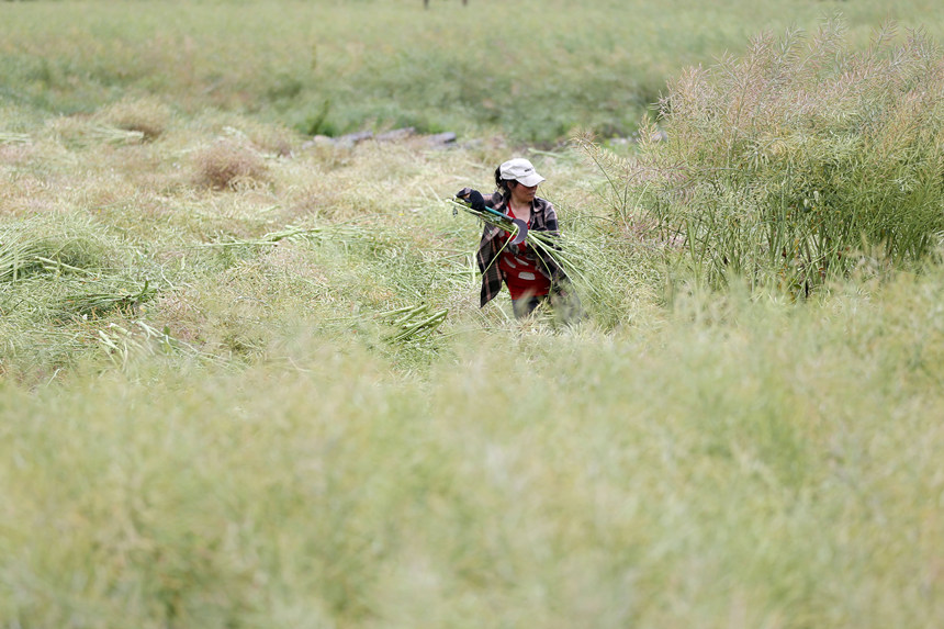 �ؑc��ǭ���^(q��)С�Ϻ��(zh��n)��·��^(q��)�������ո��Ͳ��������z