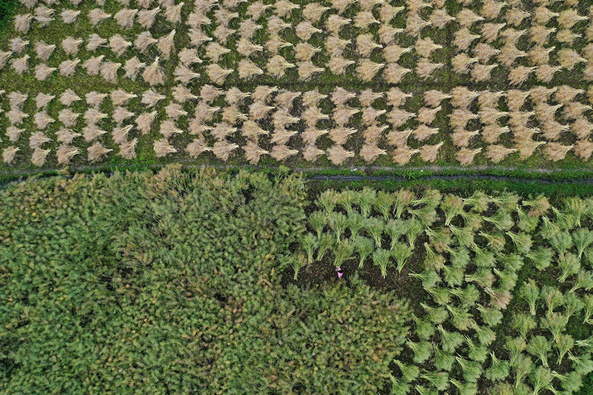 �ؑc��ǭ���^(q��)С�Ϻ��(zh��n)��·��^(q��)�������ո��Ͳˡ������z