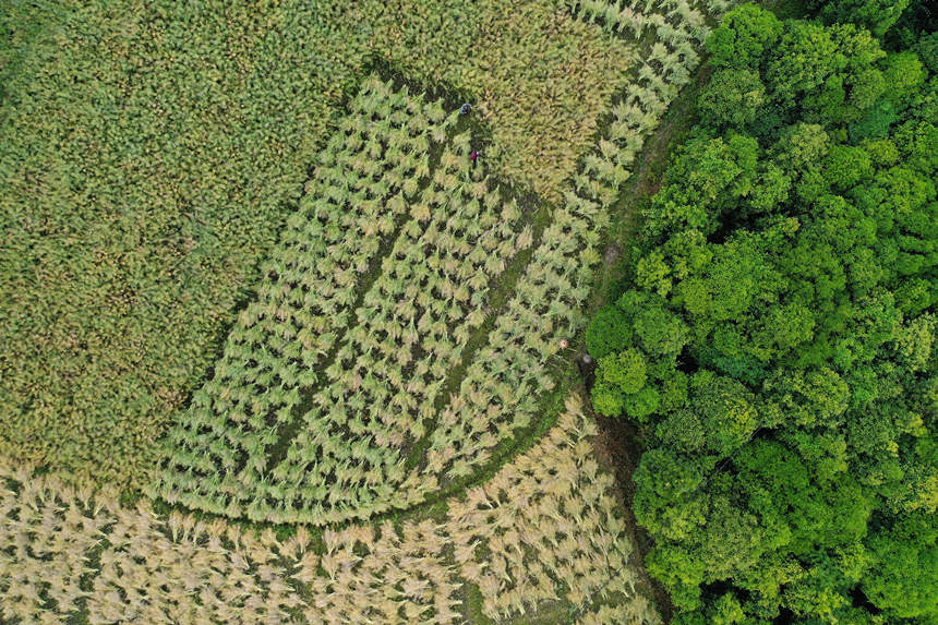 �ؑc��ǭ���^(q��)С�Ϻ��(zh��n)��·��^(q��)�������ո��Ͳˡ������z