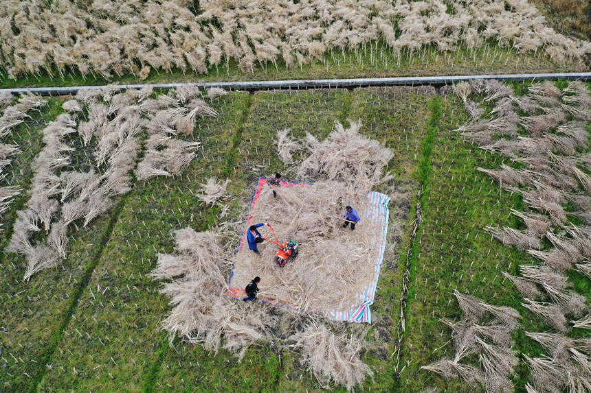 �ؑc��ǭ���^(q��)С�Ϻ��(zh��n)��·��^(q��)�����ڴ��Ͳ����������z