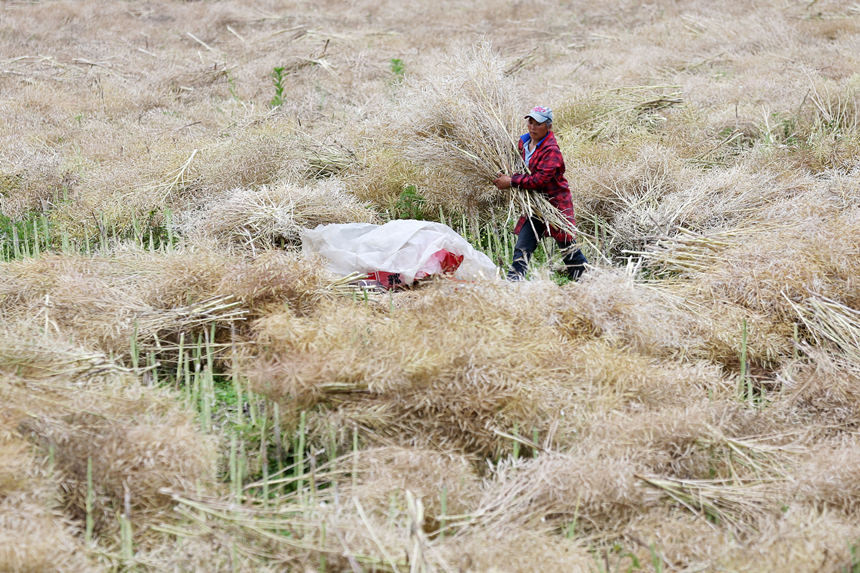 �ؑc��ǭ���^(q��)С�Ϻ��(zh��n)��·��^(q��)�����ڴ��Ͳ��ѡ������z