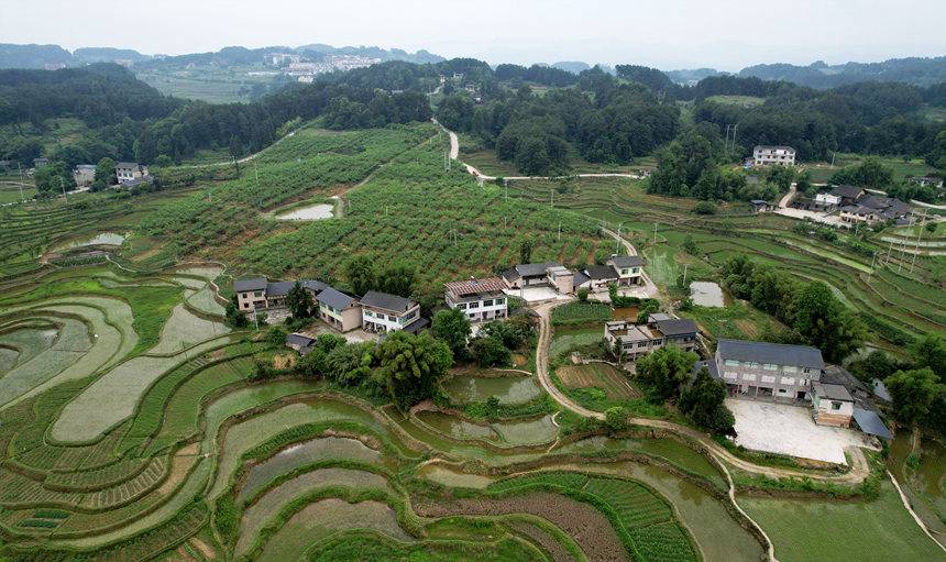 ��Ƭ�Gɫ�������S�յ�ϣ�����S�Ӕz