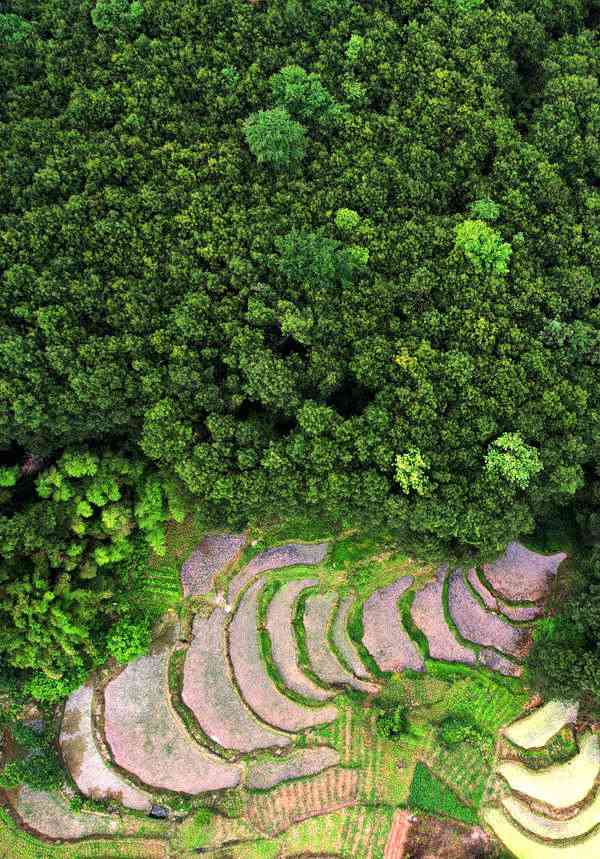 ���ľGɫ����@�L(f��ng)�⡣�S�Ӕz