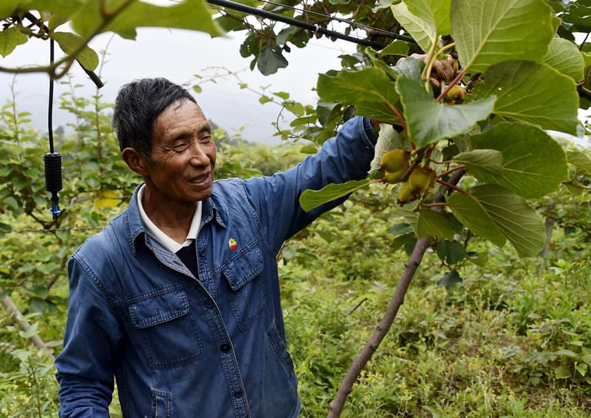 �����J���ҹ��@���S�Ӕz