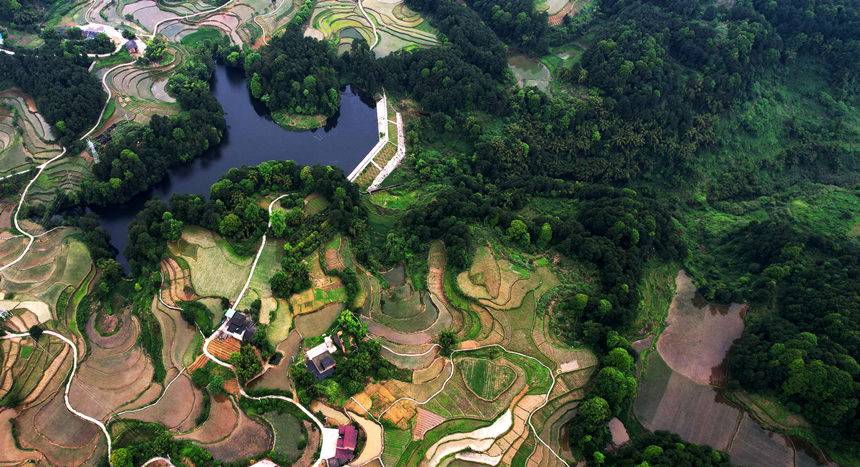 ���ĵ��d�@�����L(f��ng)���������S�Ӕz