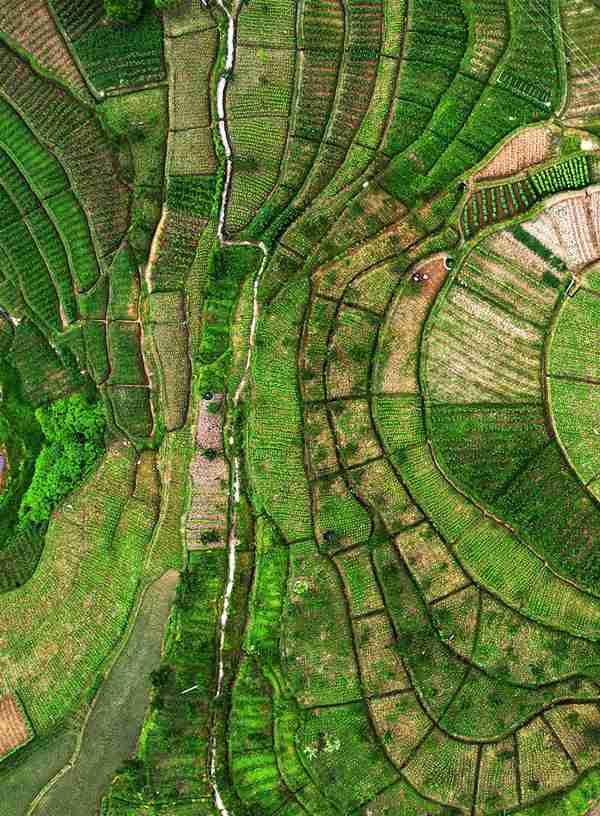 �d�����l(xi��ng)���L(f��ng)�������S�Ӕz