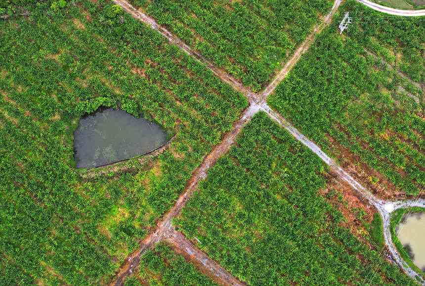 �d�������ӈ@�������L(zh��ng)��(sh��)ϲ�����S�Ӕz