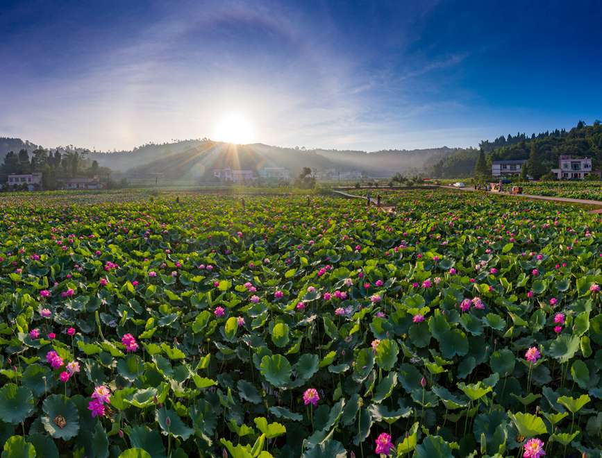 ʮ����ľ��^���Y�ψD��������^(q��)ί���������D 