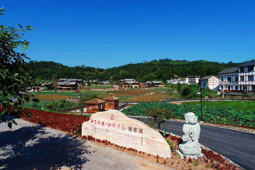 ʮ����ľ��^���ΰl(f��)���F(tu��n)���D