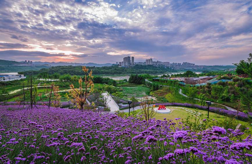 �B�d��Ƭ���R�޲��c��՘�(g��u)�ɡ��������L��һɫ�������������?j��n)z