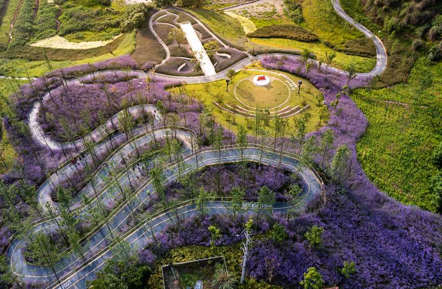 �R�޲��������ѵĲ���ʢ�������?j��n)z