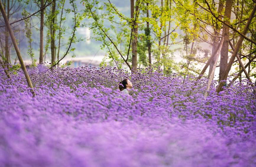 ��ɫ���ˌӌӯB�B����֔z