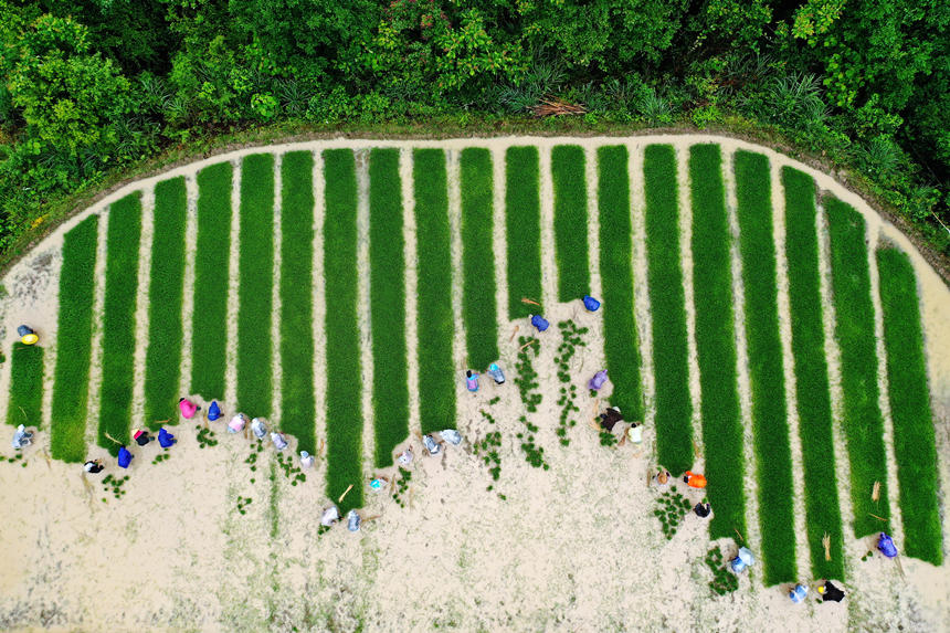 �ؑc��ǭ���^(q��)��ʯ�(zh��n)��ɽ�������ˮ����������æµ�������z