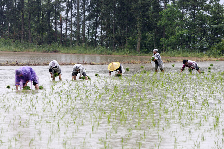 �ؑc��ǭ���^(q��)��ʯ�(zh��n)��ɽ����������g�����������z