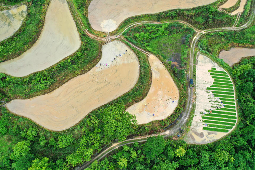 �ؑc��ǭ���^(q��)��ʯ�(zh��n)��ɽ��������g����æ�������z