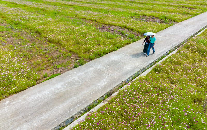 �ο��ڻ����Е��Ρ����o(j��)��?c��i)z