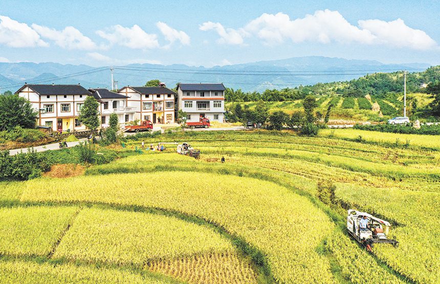 2020��8��25�����山�^(q��)ǧ�K����һ�����������ծ������������ԓ�����˾ӭh(hu��n)�����Ξ�ץ�������e���r(n��ng)�����Ĵ�������������˼҈@�����˴�����ӛ�� �f�y �z/ҕ�X�ؑc