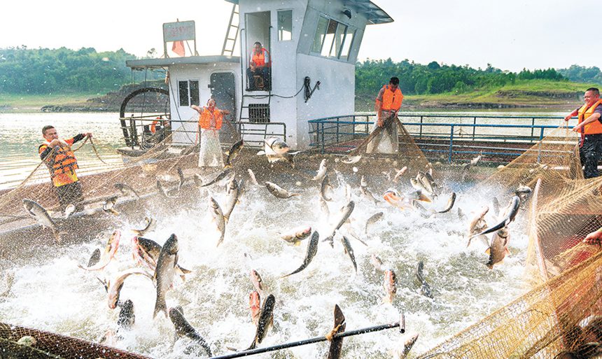 2020��5��23�����L(zh��ng)�ۅ^(q��)�L(zh��ng)�ۺ��������ˆT�����վW(w��ng)���~(y��)���@Щ���B(t��i)�B(y��ng)ֳ�~(y��)�S��������Ĳ�����ͨӍ�T ���� �z/ҕ�X(ju��)�ؑc