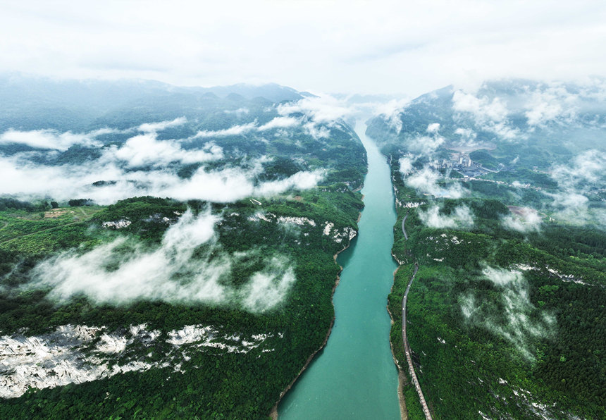 �������Ⱦ��^����Ψ�z