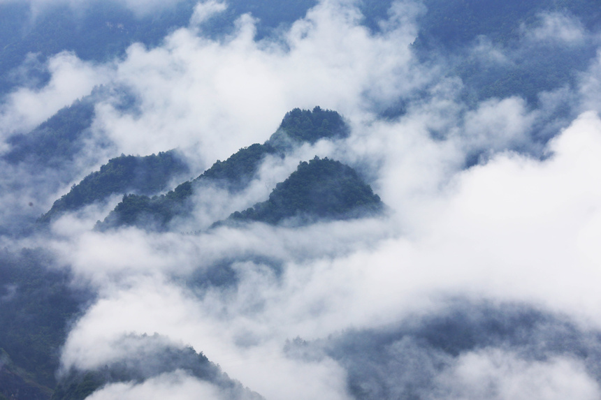 ���Fɭ�������ɾ�����dʢ�z