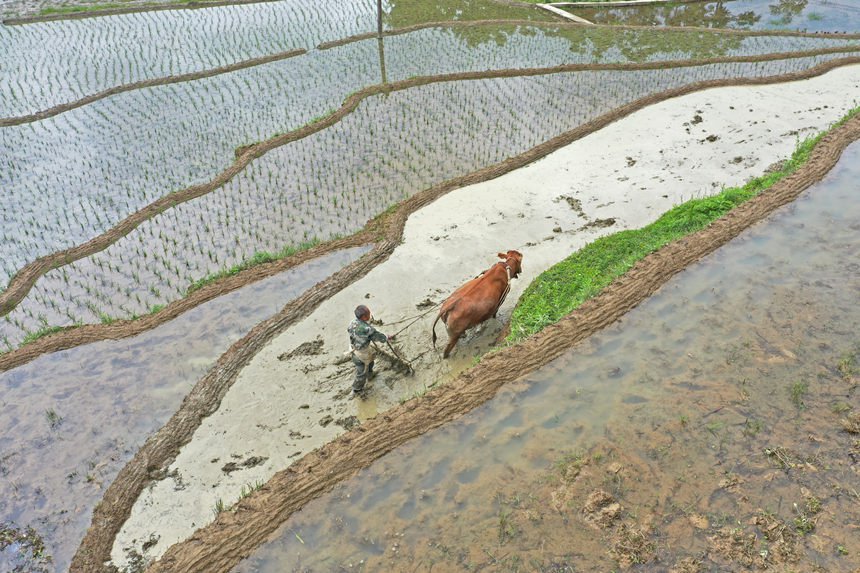 ��Ϫ�l(xi��ng)��ش����������������������������(zh��n)�����w�z