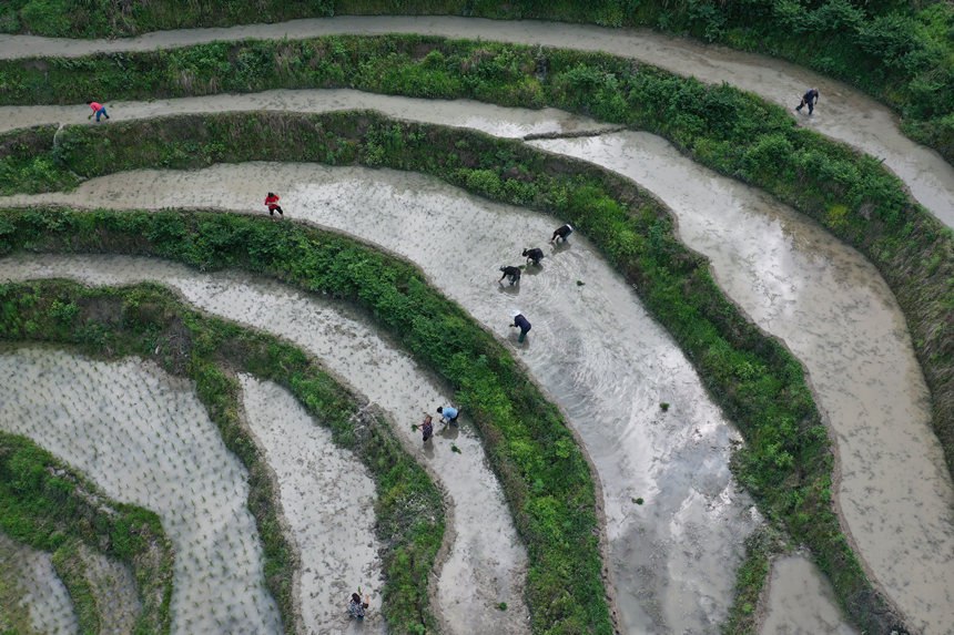 ���ش�������������gæ���������w�z