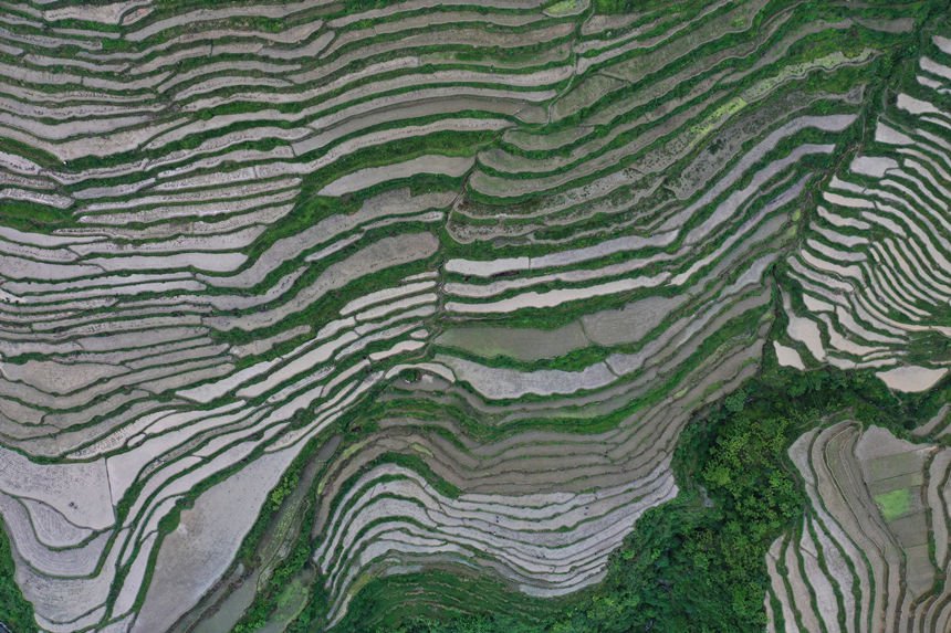 �o�˙C(j��)�����µ������������w�z