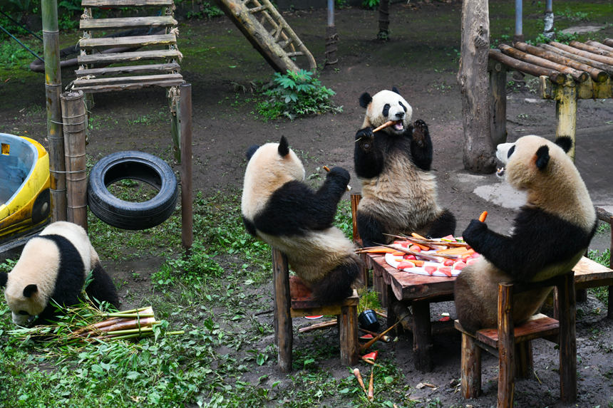 ����؈���p�p�������ء���ϲϲ�����c�c������������ʳ���u���z