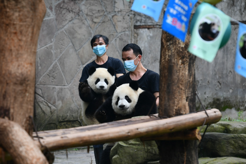 ��B(y��ng)�T���������ǡ����������c�ο�Ҋ�����u���z